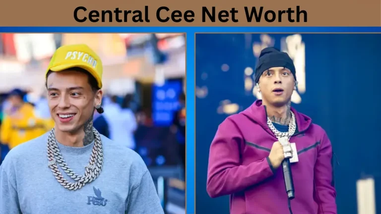 Central Cee Net Worth